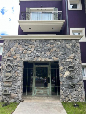 monoambiente pinot San Martin De Los Andes